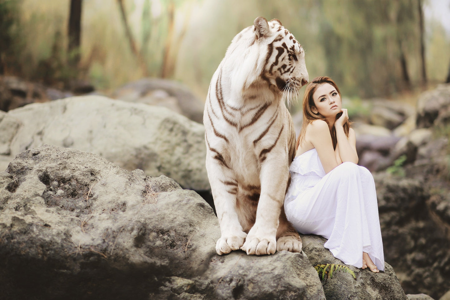 Tiger Power - Panthera Custos